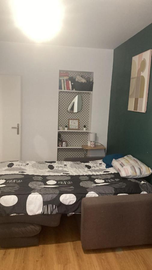 Chambre En Appartement Haussmannien En Centre Ville Saint-Etienne  Eksteriør billede